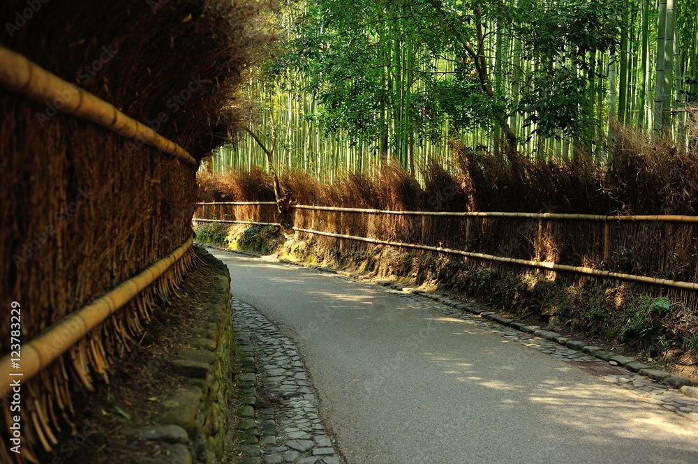 竹林の道