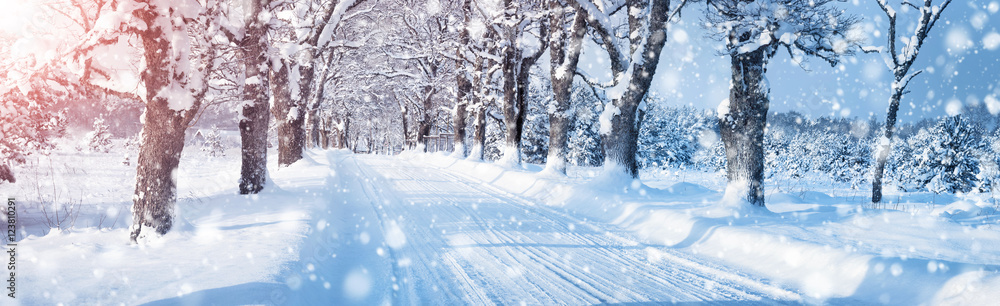 穿过雪地小巷的道路上的冬季全景