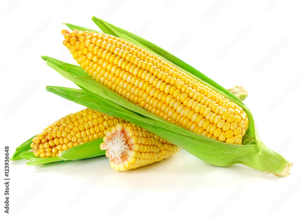 Corn isolated on white