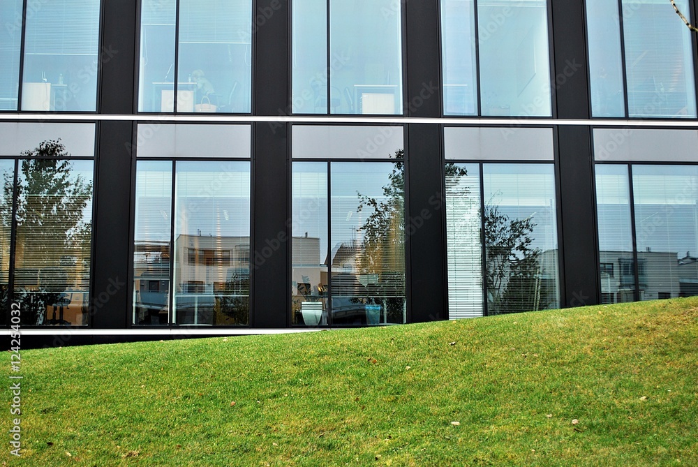 Windows of a modern office building