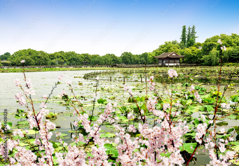 杭州西湖风光