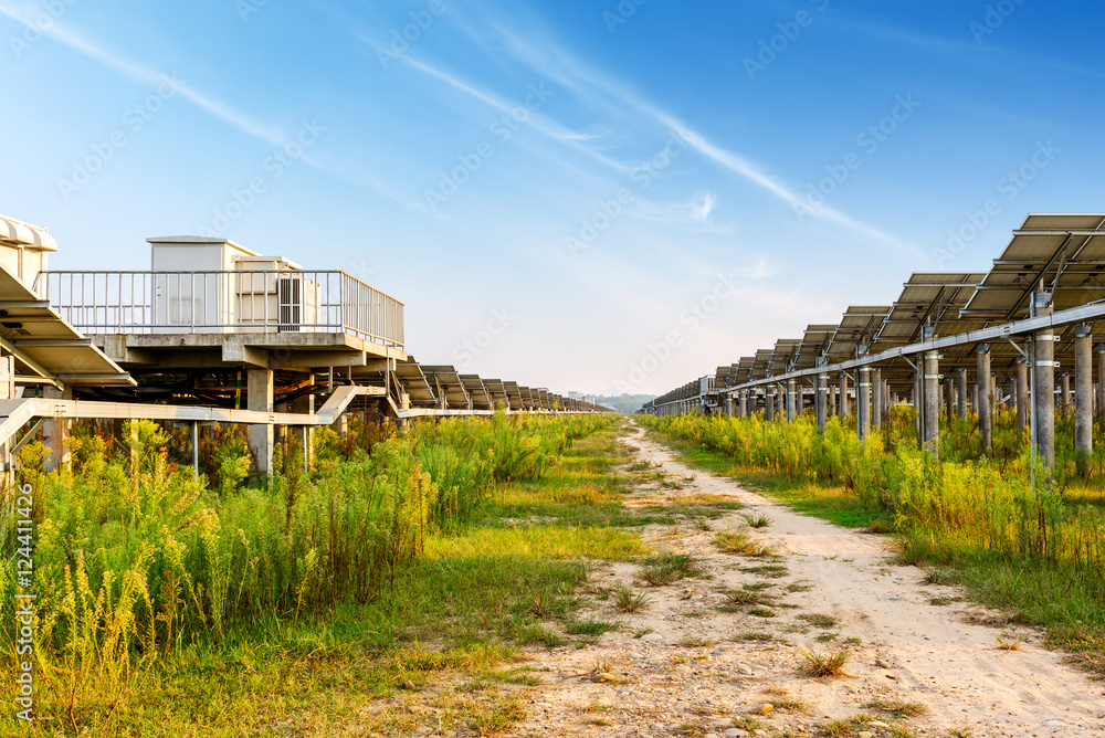 Solar Panel