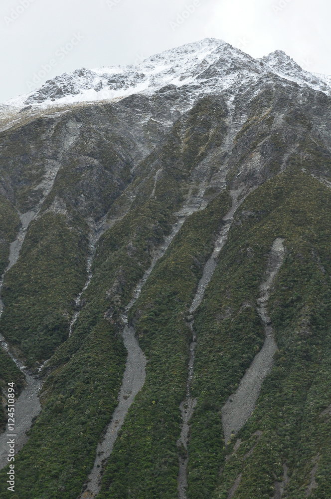 新西兰库克山特写