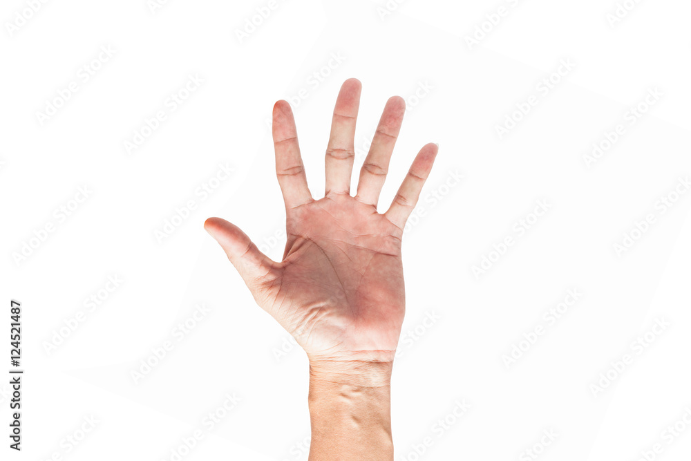 hand isolated on white background.