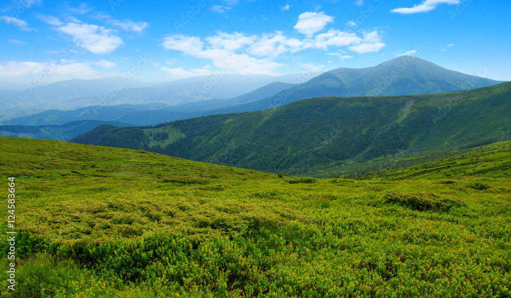 夏日山景