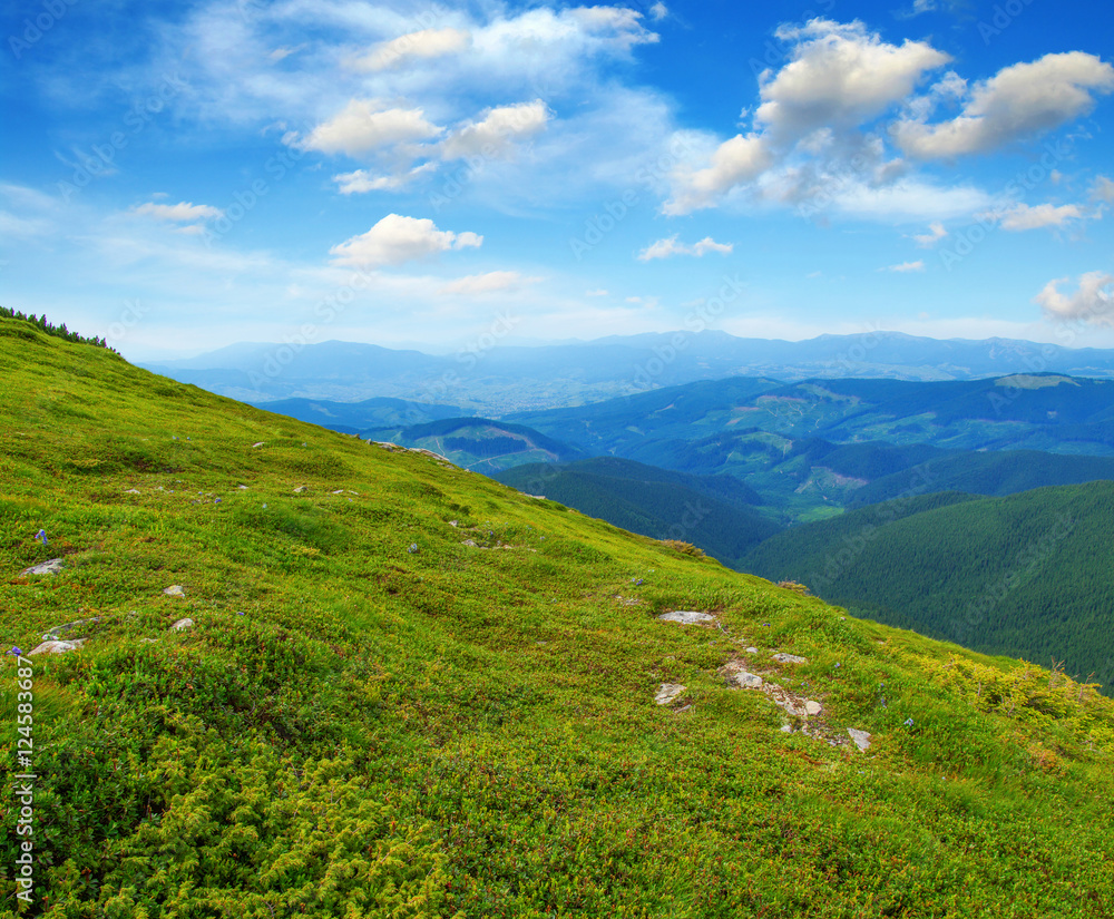 夏日山景