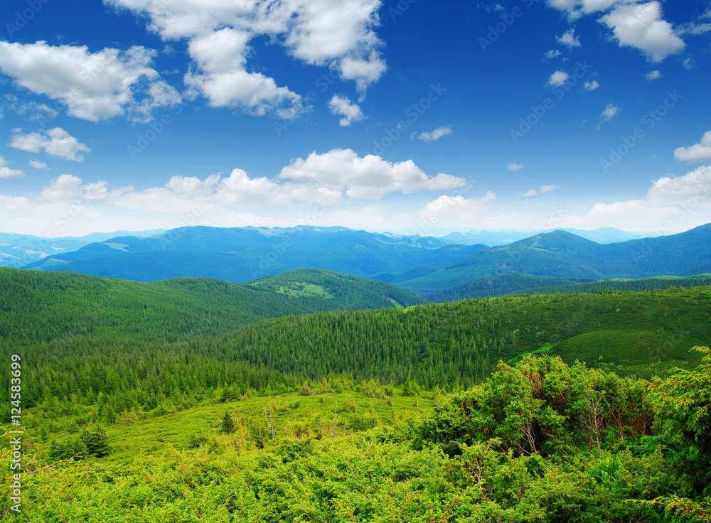 夏日山景