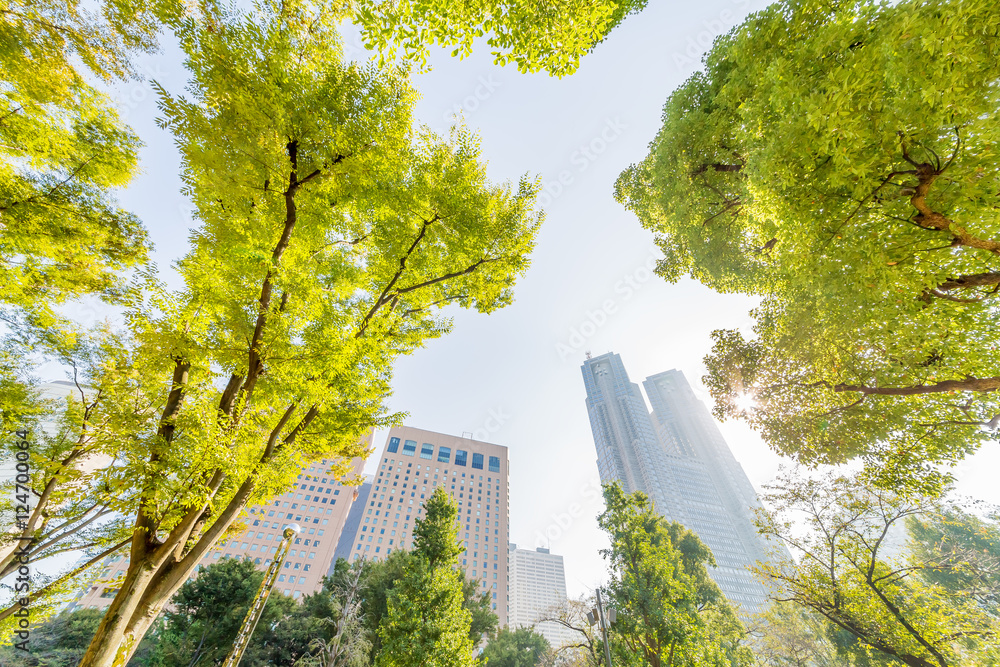 新宿の風景