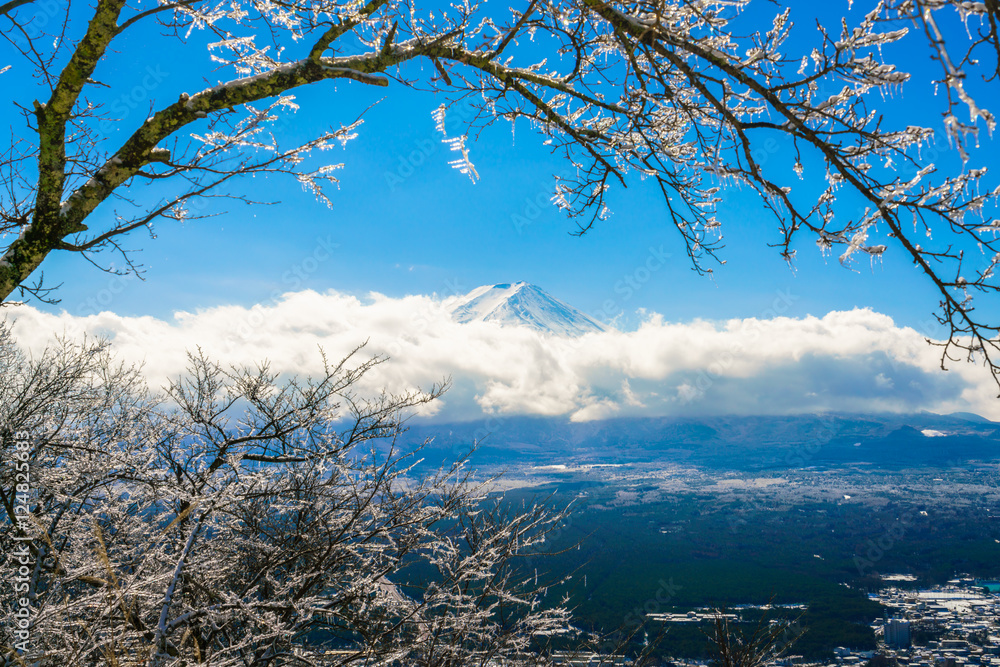 Mountain Fuji with ice coating on the trees