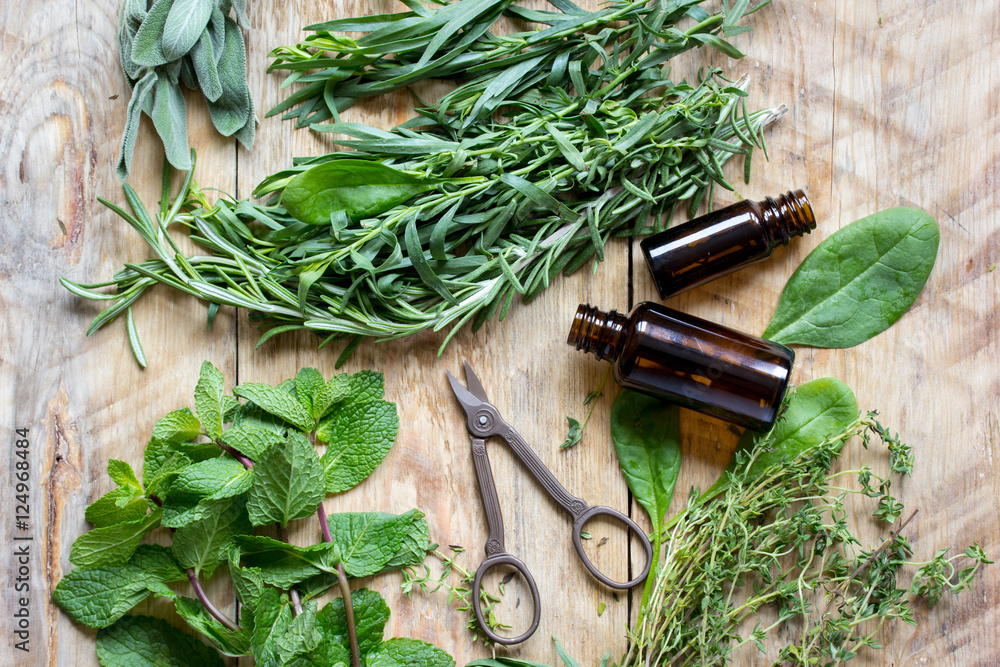 spicy fresh herbs on the wooden background