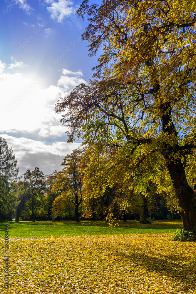 Herbst in einem Park bei strahlendem Sonnenschein