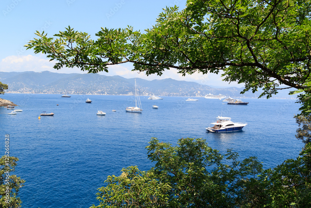 Mediterranean Sea and Liguria coast near Portofino, Italy