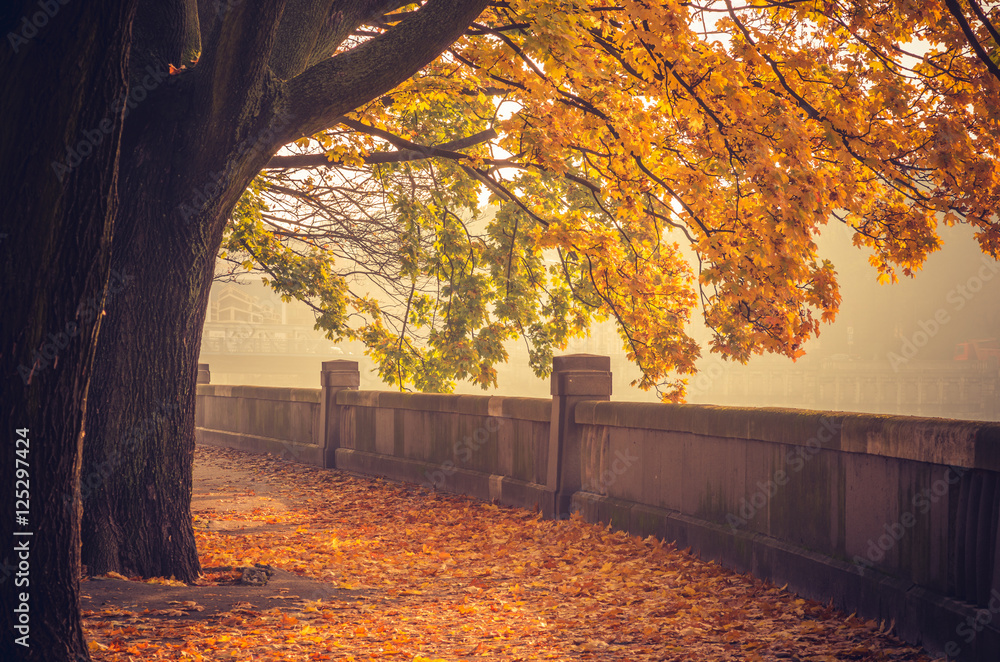 Autumn landscape, Krakow, Poland, Vistula river boulevards park