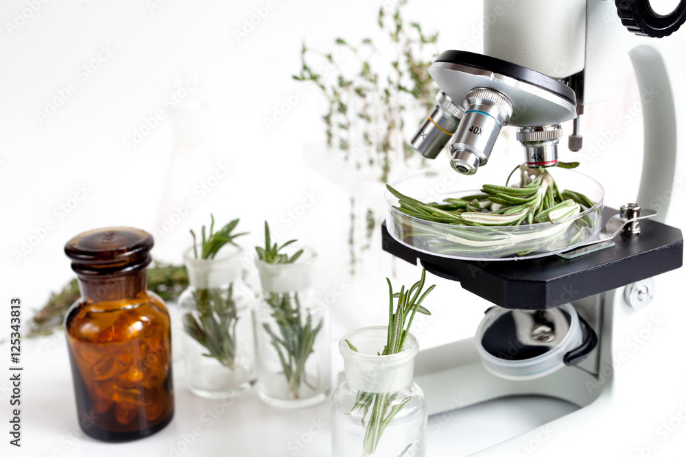 analysis of food pesticides check rosemary in laboratory