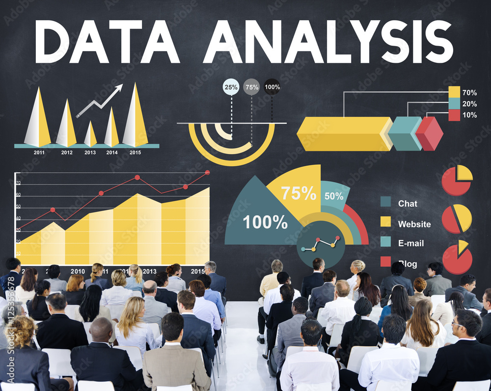 Data Analysis Percentage Business Chart Concept