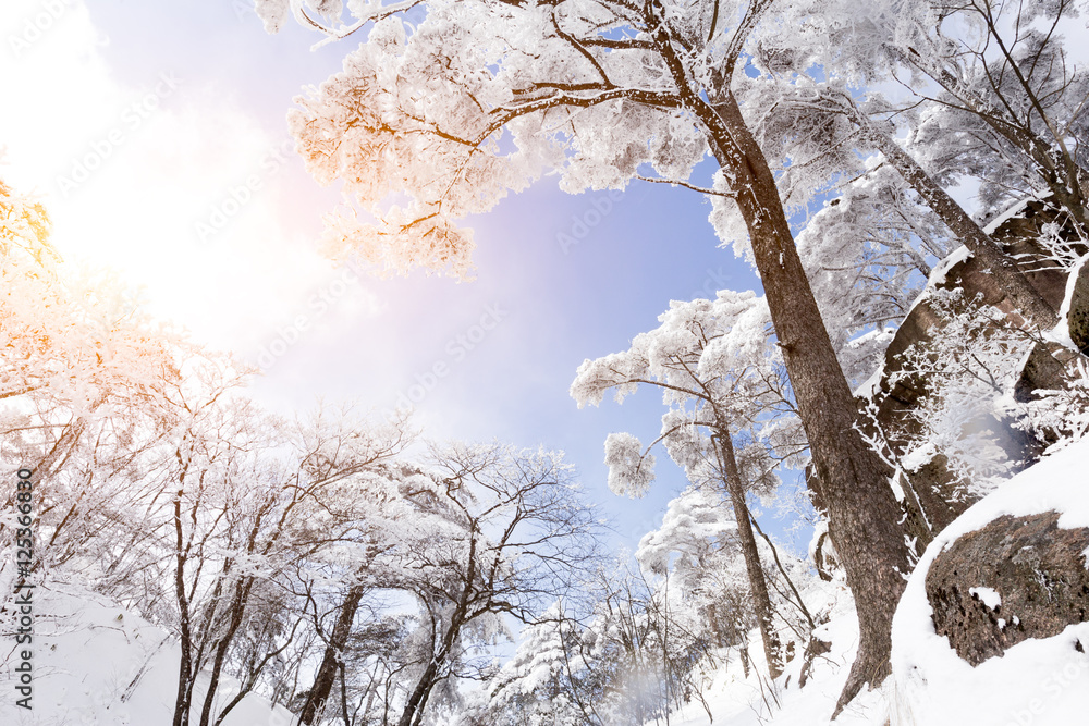 黄山雪景