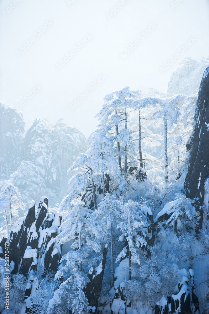 黄山雪景