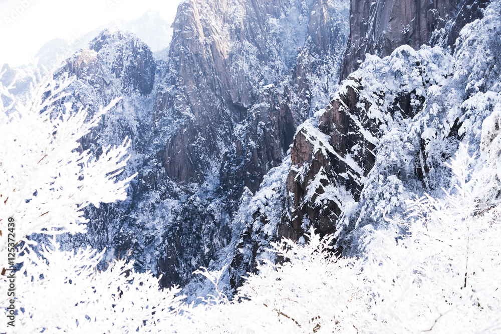 snow scene on huangshan mountain