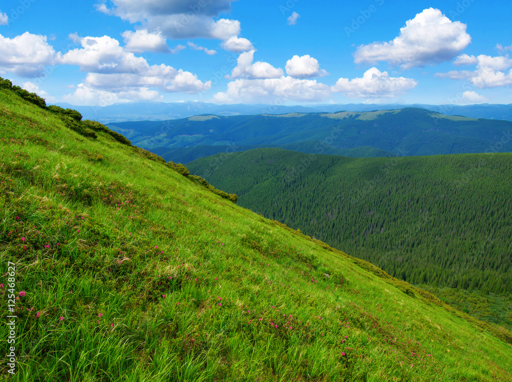 夏日山景