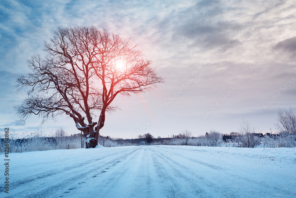 冬季道路早晨被雪覆盖