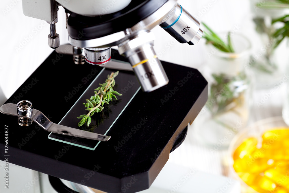 test herbs samples on a microscope slide close up