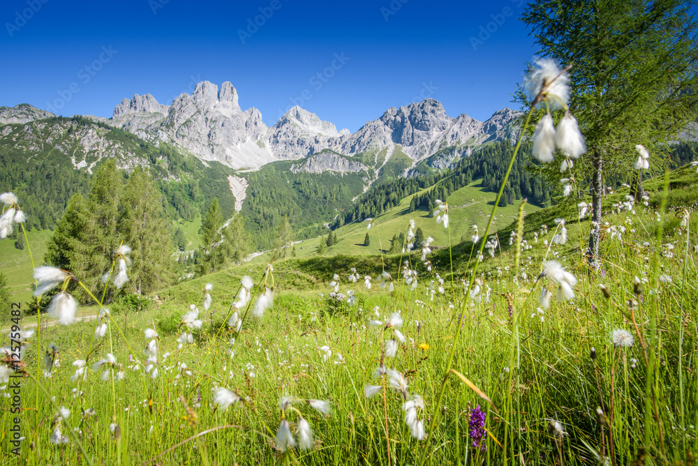 Mount Bischofsmütze, Filzmoos, Salzburger Land, Austria