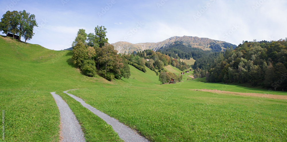 Wanderweg in wunderschöner Weidelandschaft, Schweiz