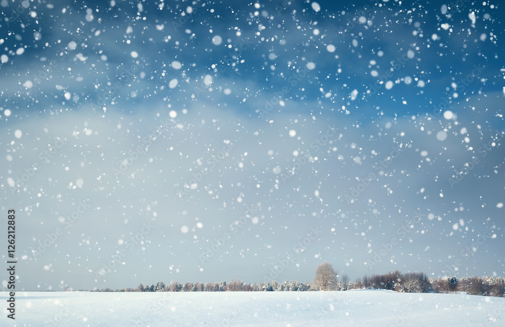 雪中深夜冬季景观中的树木