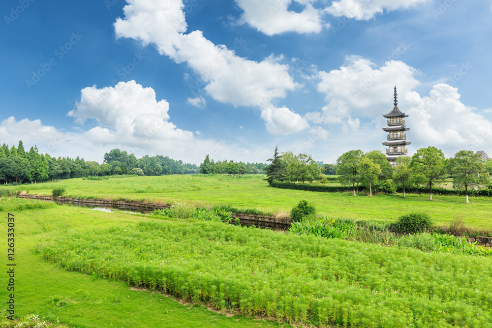 夏日的绿色公园