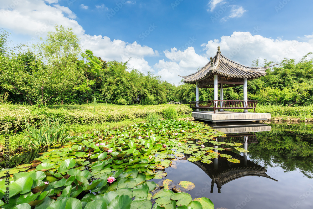 夏日绿色公园