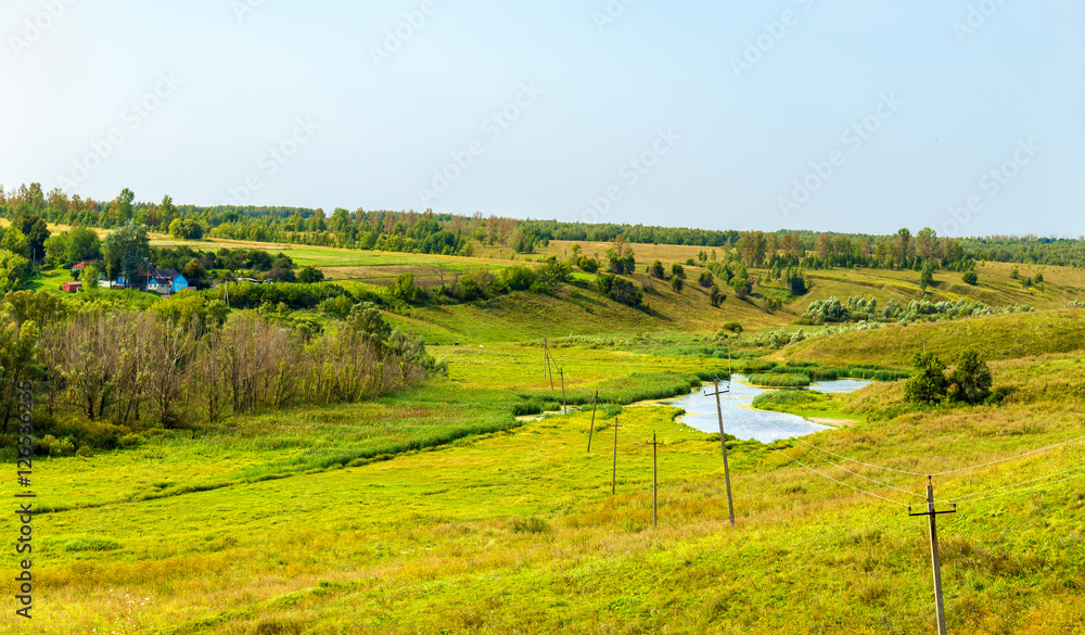 Meadow in Bolshoe Gorodkovo - Kursk region, Russia