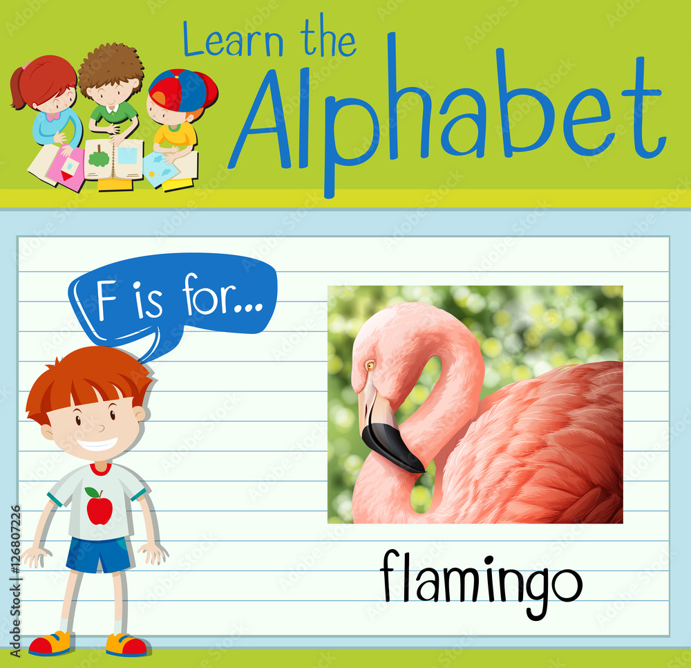 Flashcard letter F is for flamingo