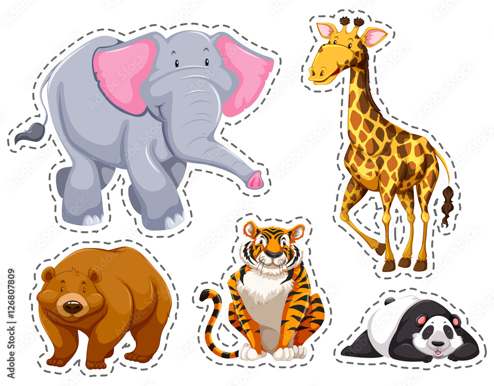 Set of different wild animals