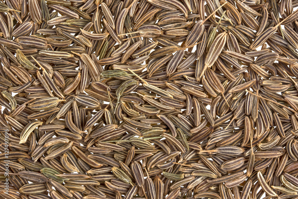 Cumin seeds or caraway texture