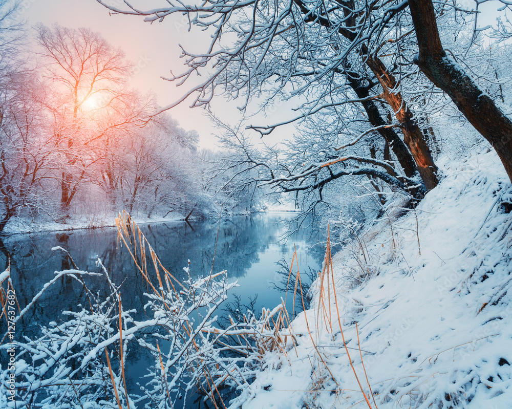 Beautiful winter in forest on the river at sunset. Winter landscape. Snowy branches on trees, beauti