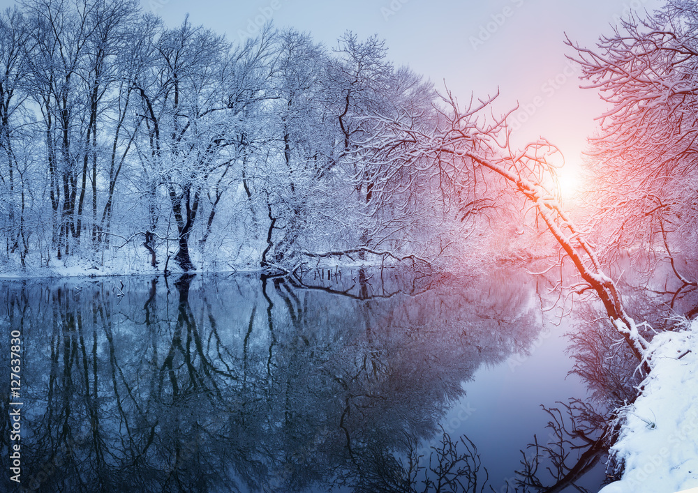 日落时河边森林里的美丽冬天。冬季景观。树上的雪树枝，美丽