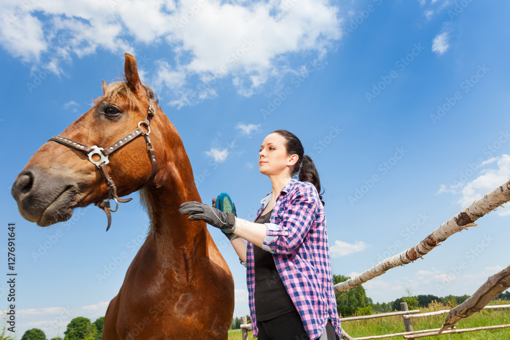 Woman grooming horse against blue sky background