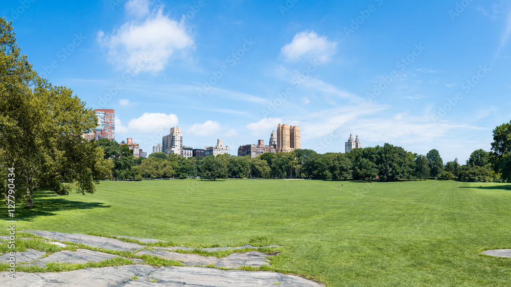 Vista panorámica de una extension de césped en Central Park con un cielo azul y despejado