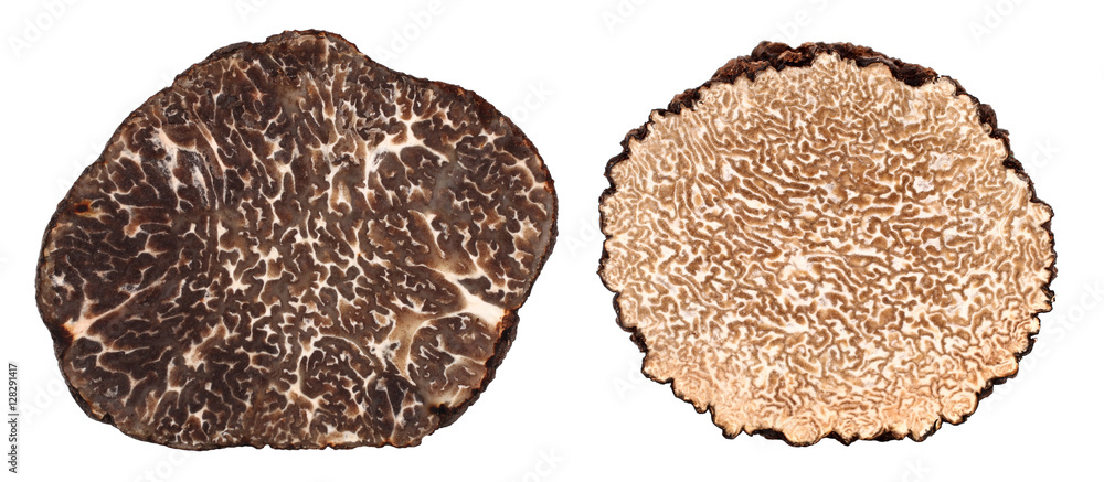 
Winter and summer black truffle cross section difference
