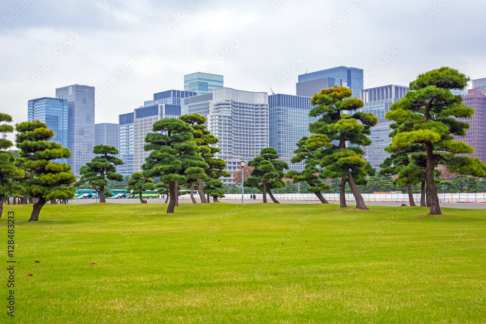 日本东京的东方公园