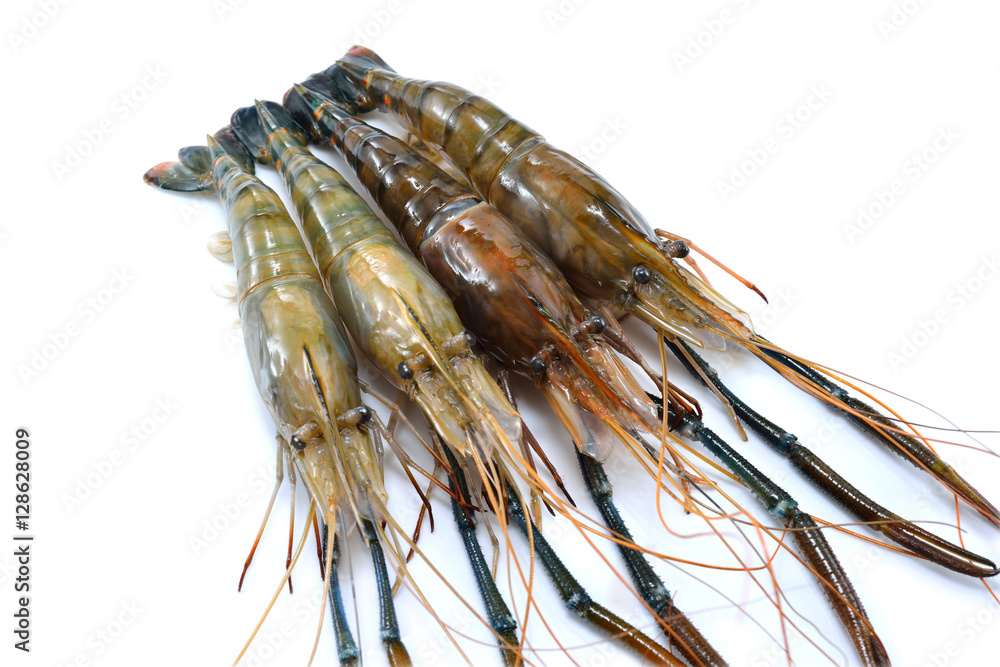 Fresh shrimps,prawns isolated on white background

