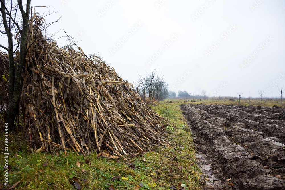 Ploughed field ready for new crops. Rich deep brown soil.Rainy autumn day