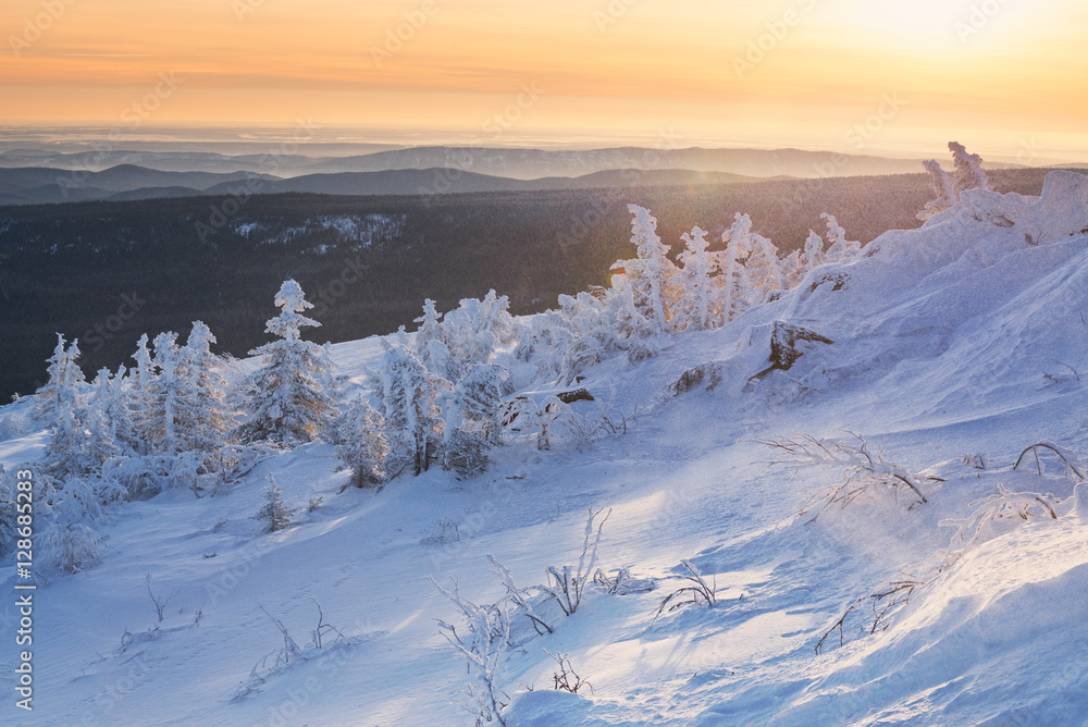  Majestic mountain winter landscape with trees in lush frost and