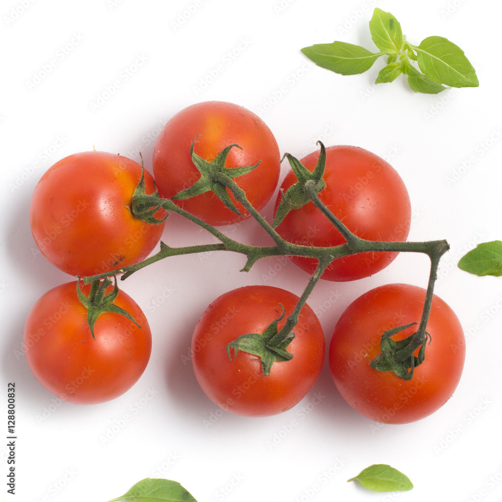 Branches of Cherry Tomatoes