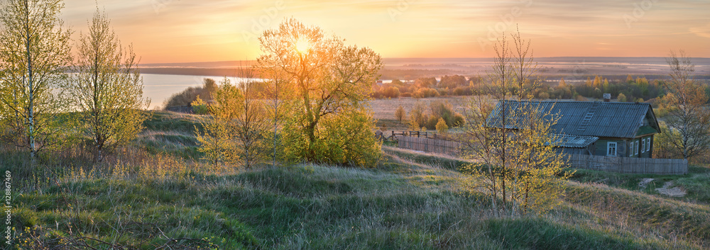 May first greens in rays of rising sun.