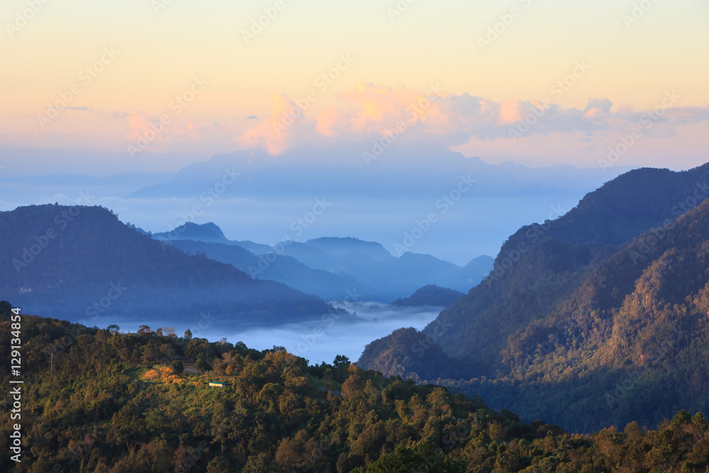 美丽的山区夏季景观。