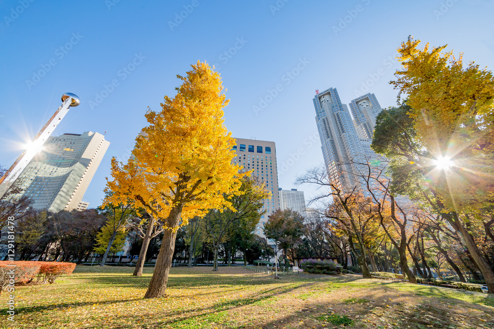 新宿の風景