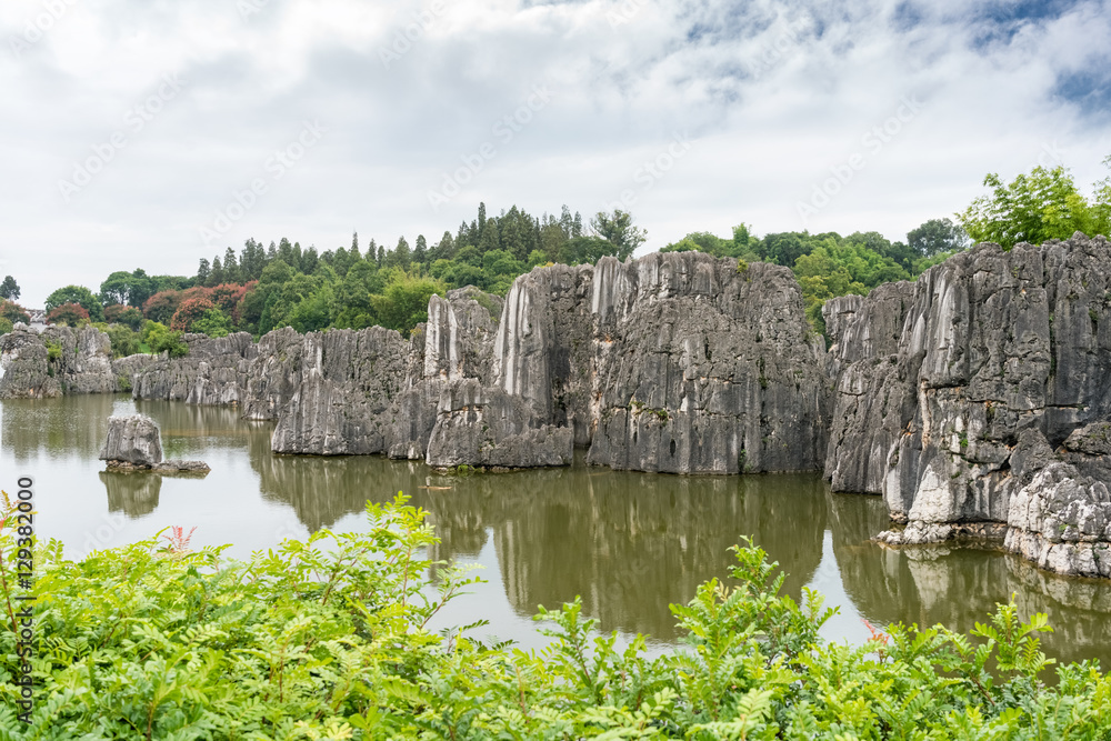 yunnan stone forest scenic