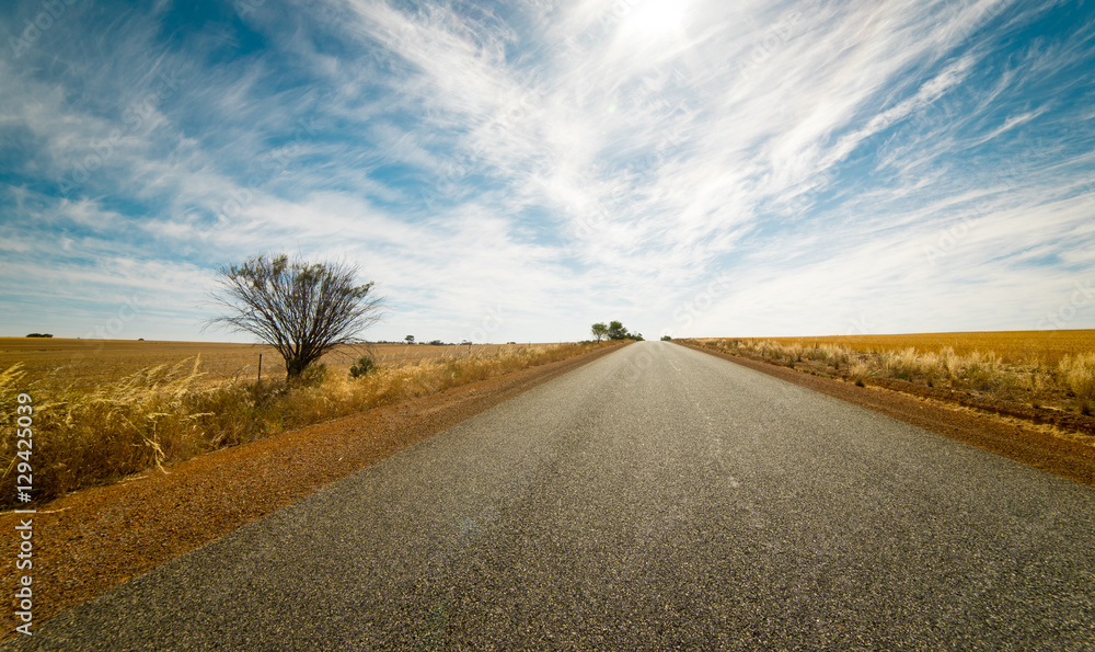 Straight road goes to horizon on background of ble sky and Golden wheat field.