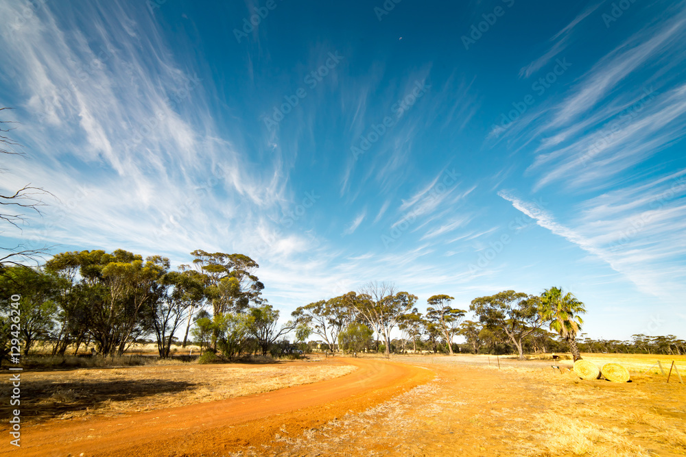 Off-road in the Golden wheat field, ,blue sky .